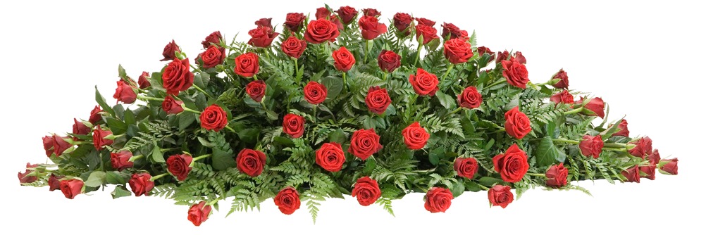 pre-paid funeral plan